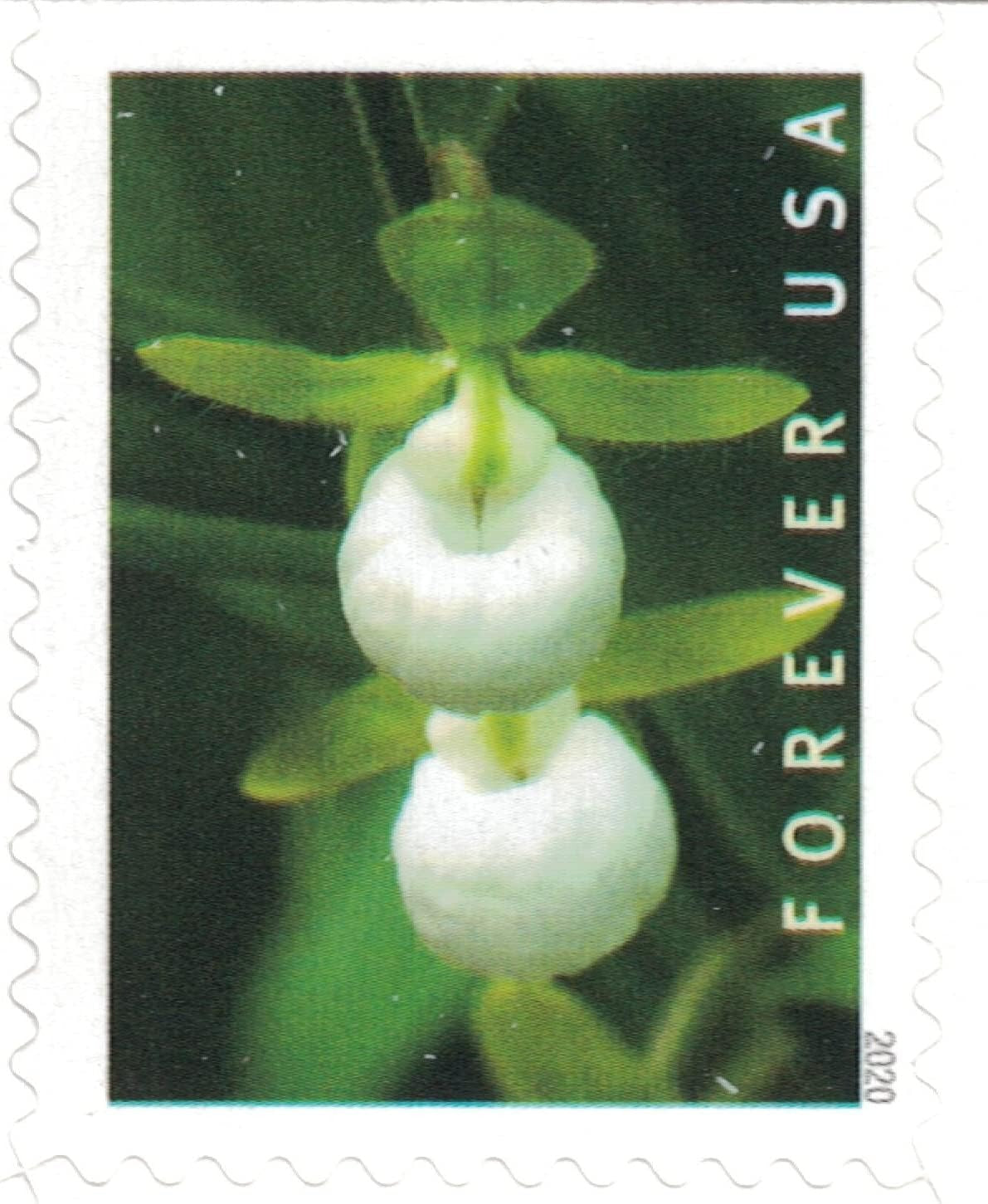 Wild Orchids Forever Design – 2020 Floral Collection, Booklet of 20 Self-Adhesive Mail Labels