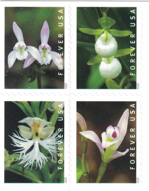 Wild Orchids Forever Design – 2020 Floral Collection, Booklet of 20 Self-Adhesive Mail Labels