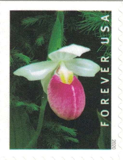 Wild Orchids Forever Design – 2020 Floral Collection, Booklet of 20 Self-Adhesive Mail Labels