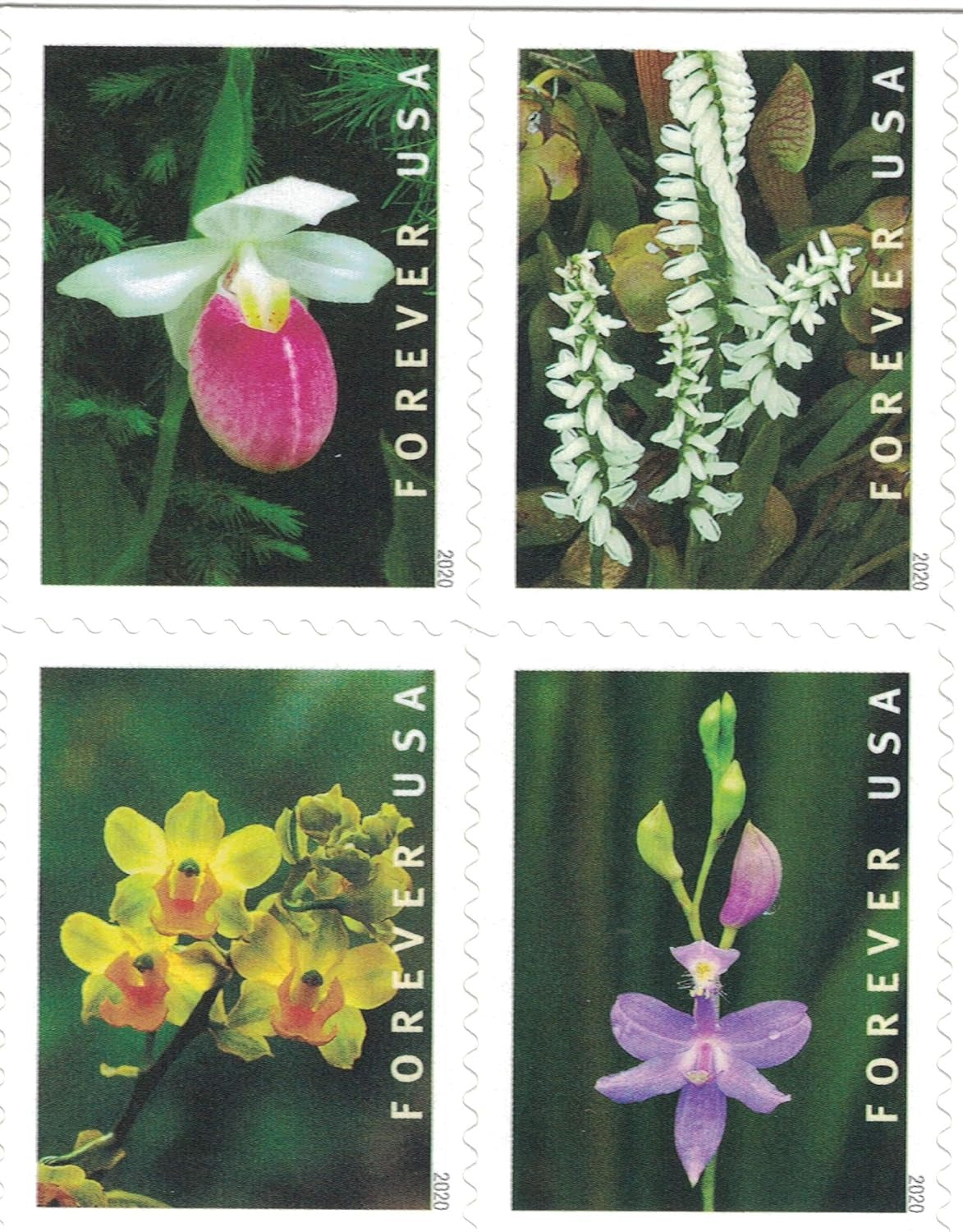 Wild Orchids Forever Design – 2020 Floral Collection, Booklet of 20 Self-Adhesive Mail Labels