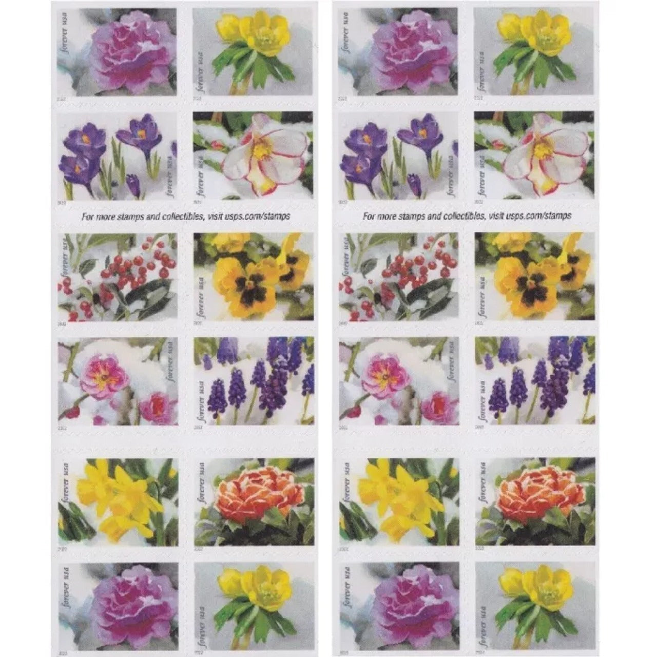 Snowy Beauty Collection – Elegant Winter-Inspired Floral Designs 100pcs/Pack (20pcs/Booklet)