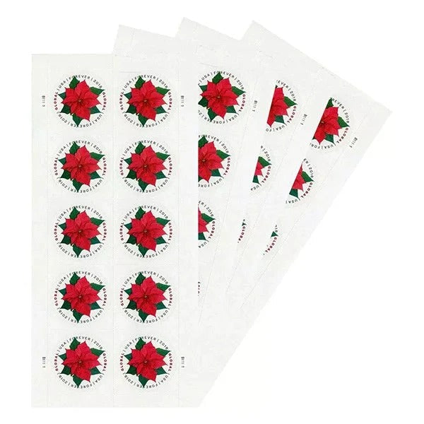Global Poinsettia Forever Design – Festive Floral Art for Holiday & International Greetings 100pcs/Pack (20pcs/Booklet)