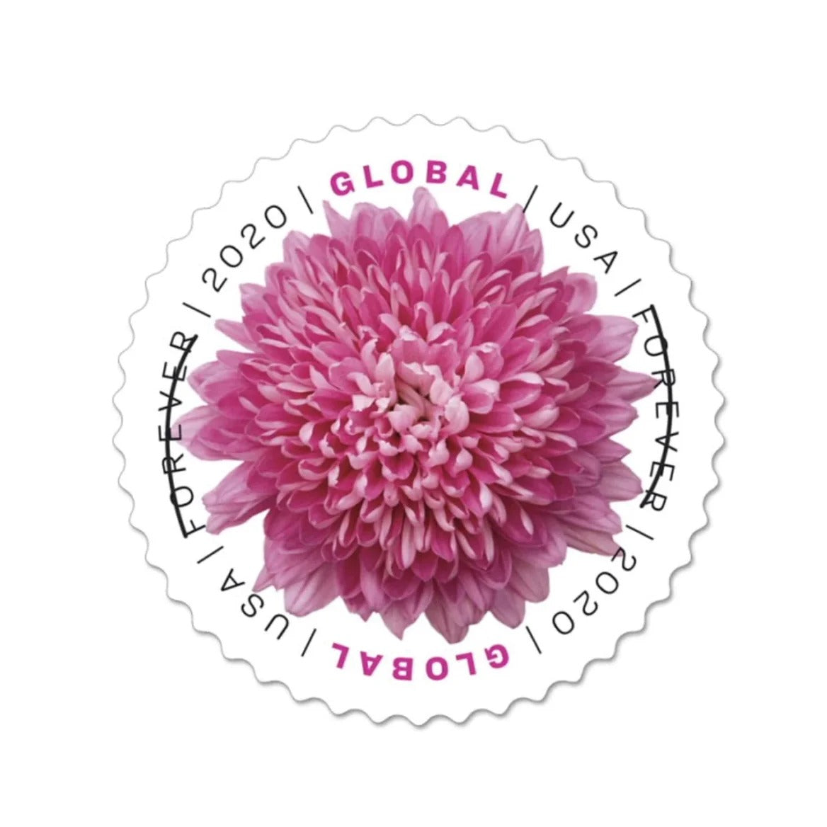 Chrysanthemum Bloom Series Decorative Floral-Themed Self-Adhesive Labels 100pcs/Pack (10pcs/Booklet)