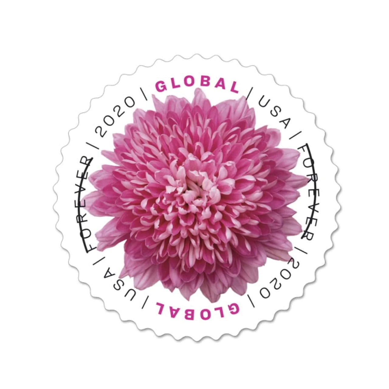 Chrysanthemum Bloom Series Decorative Floral-Themed Self-Adhesive Labels 100pcs/Pack (10pcs/Booklet)