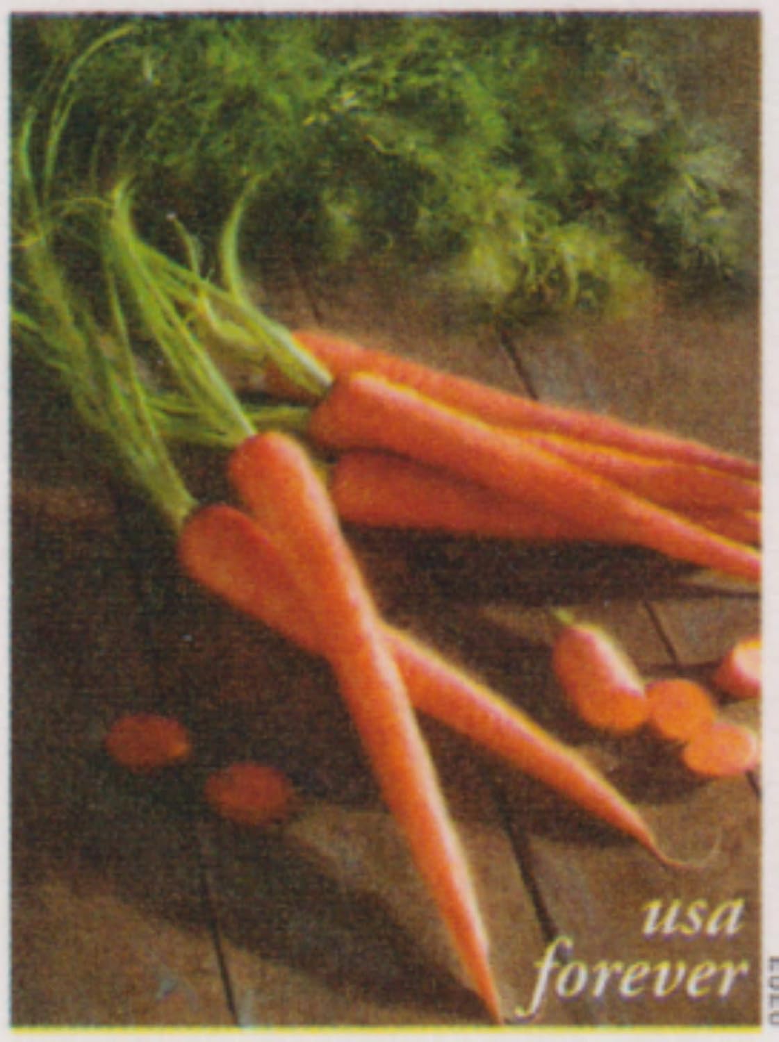 Fruits & Vegetables Forever Collection – Colorful Harvest Designs Featuring Nature’s Bounty 100pcs/Pack (20pcs/Booklet)