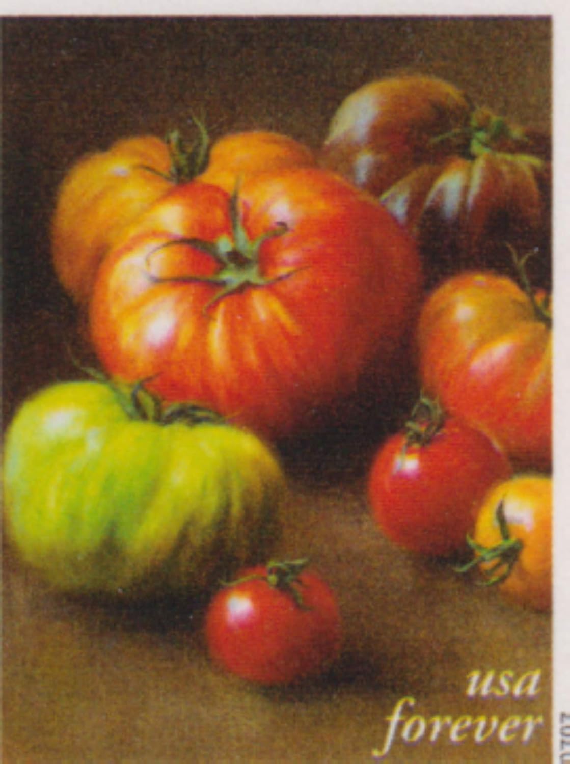 Fruits & Vegetables Forever Collection – Colorful Harvest Designs Featuring Nature’s Bounty 100pcs/Pack (20pcs/Booklet)