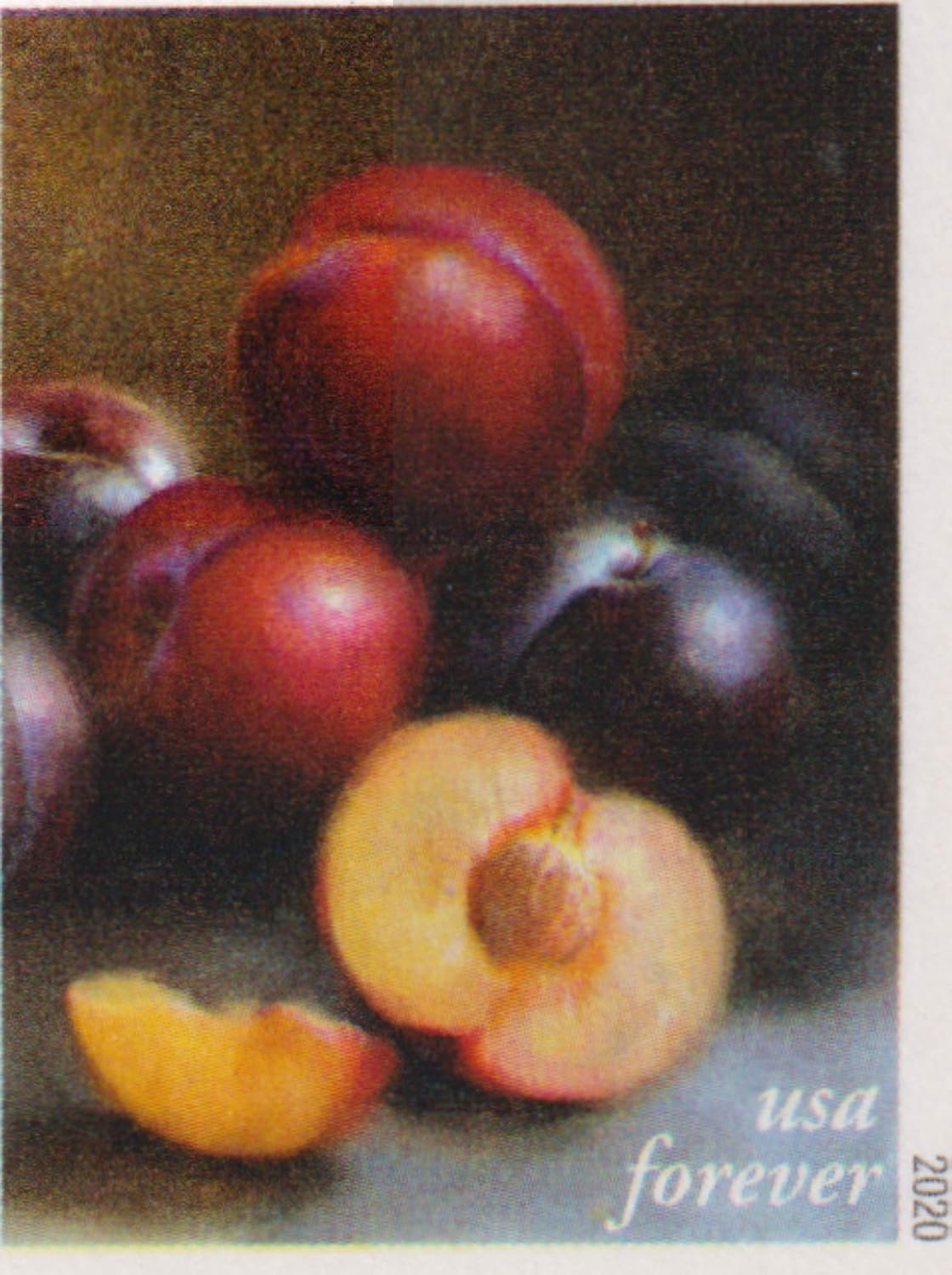 Fruits & Vegetables Forever Collection – Colorful Harvest Designs Featuring Nature’s Bounty 100pcs/Pack (20pcs/Booklet)