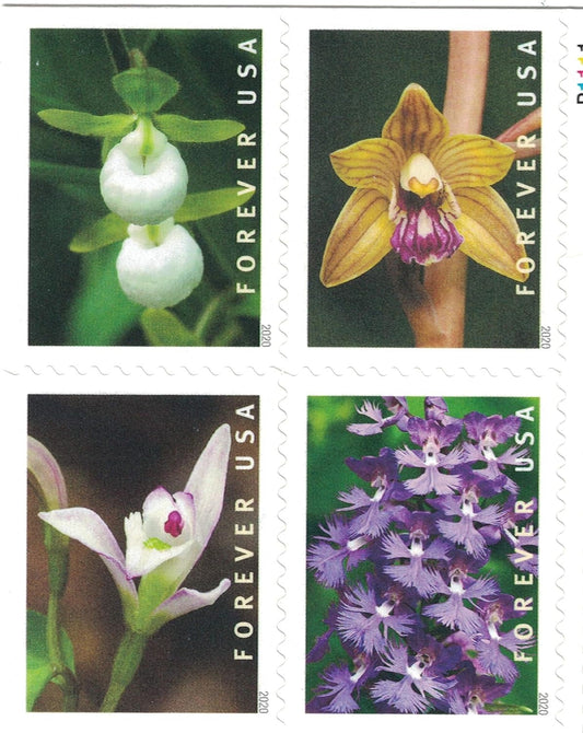 Wild Orchids Botanical Design Self-Adhesive Label Set for Nature Lovers and Collectors 100pcs/Pack (20pcs/Booklet)