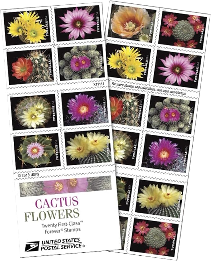 Cactus Flowers Botanical Art Self-Adhesive Label Set for Nature-Inspired Notes 100pcs/Pack (20pcs/Booklet)