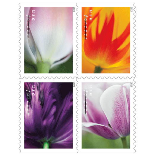 2023 Tulip Blossom Forever Collection – Elegant Floral Designs for First-Class Mail 20pcs/Booklet