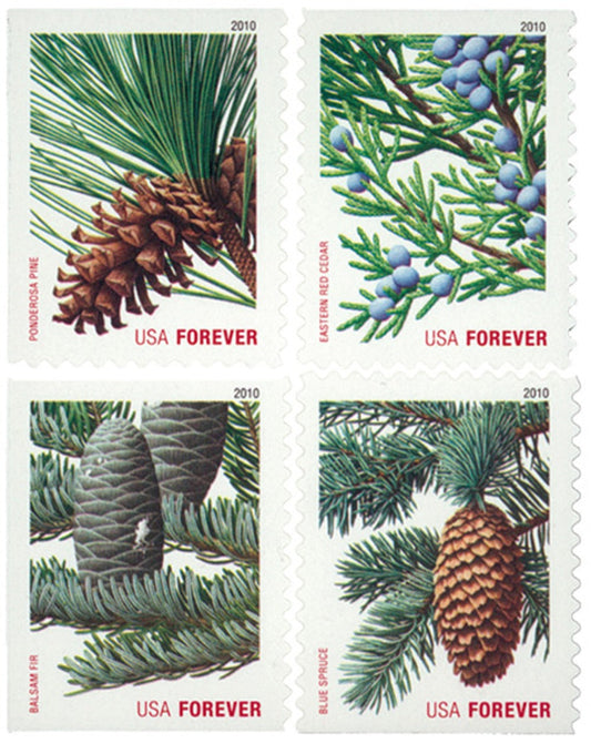 Holiday Evergreen Collection – Festive Greenery Designs for Seasonal Mailings 100pcs/Pack (20pcs/Booklet)