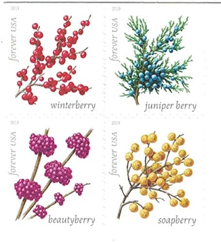 Winter Berries Collection – Elegant Seasonal Designs for Weddings and Celebrations 100pcs/Pack (20pcs/Booklet)